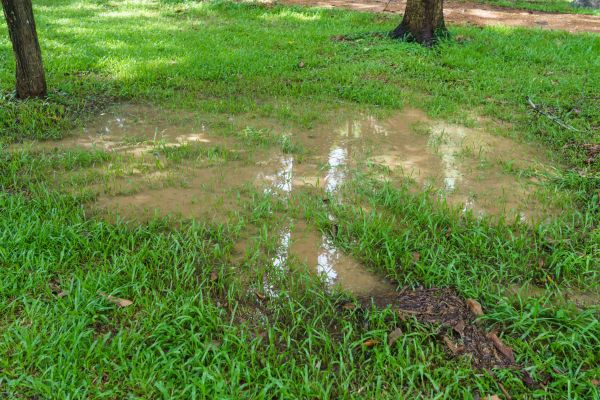 Cost of Storm Water Drainage Service in Sun City West