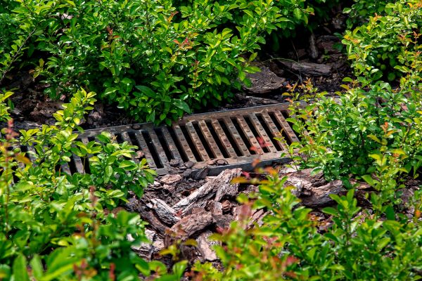 Cost of Underground Drainage Service in Sun City West