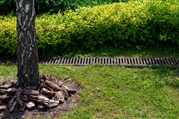 Cost of Wet Yard Drainage in Sun City West