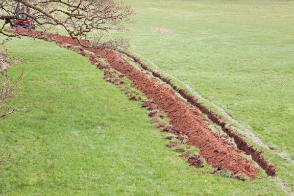 Cost of Swale Installation in Sun City West