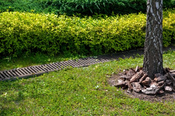 Cost of Residential Landscape Drainage in Sun City West