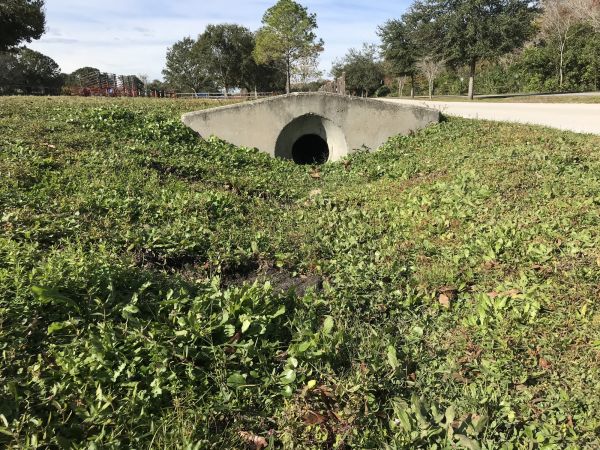 Cost of Swale Drainage Service in Sun City West